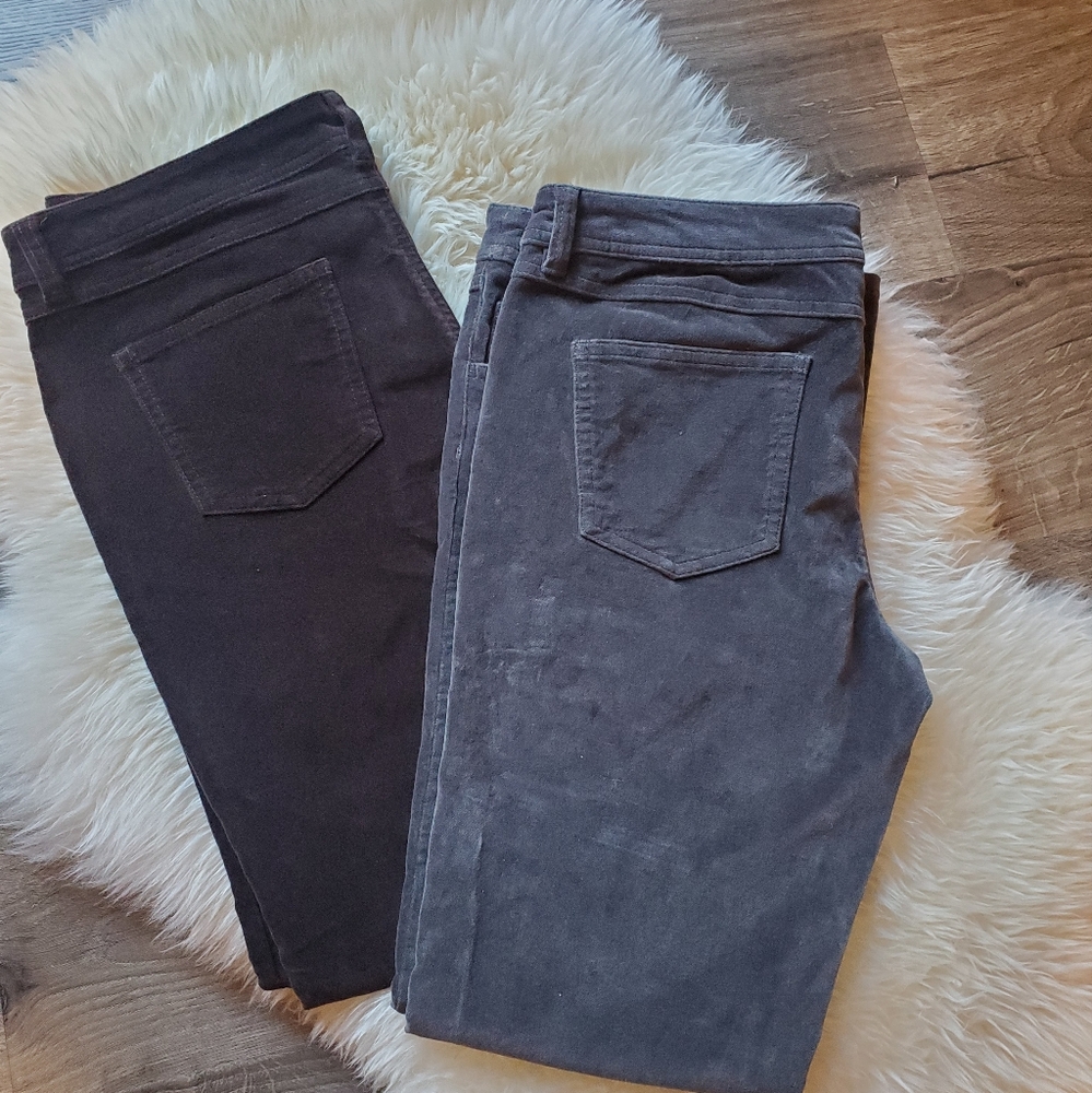 Bundle Of 2 Garnet Hill Slim Velvet Pants  8P